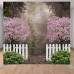 Spring garden park with cherry trees and blossoms.