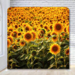 Sunflower farm fields photo booth backdrop